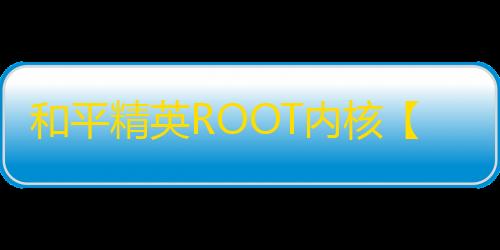 和平精英ROOT内核【zy】外挂